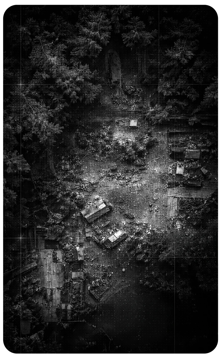 Signal Beneath the Canopy